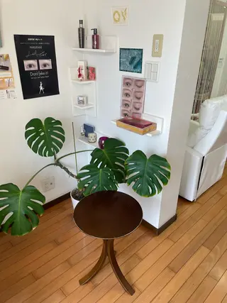 Any eyelash＆hair所属・Any eyelashのマツエク・マツパデザイン