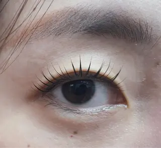 マツエク・マツパ cils·シル アイラッシュのマツエク・マツパデザイン