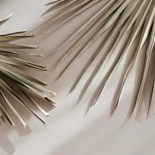 Lash&brow PORTE269 瓜破店所属・田川 きららのマツエク・マツパデザイン