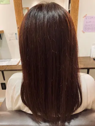 セミロング Porte所属・疋田(ひきた)真由 🐶東京/都立大学のヘアスタイル