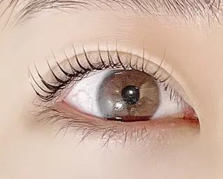 マツエク・マツパ ブレラ所属・Rumi 【ブレラ】のマツエク・マツパデザイン