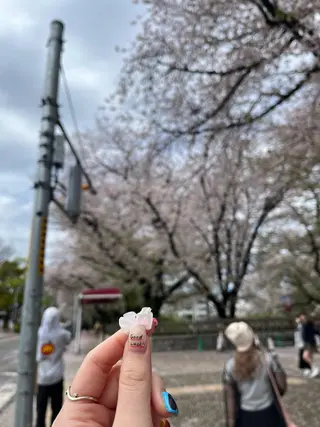 ROCCO east MIYOのヘアスタイル