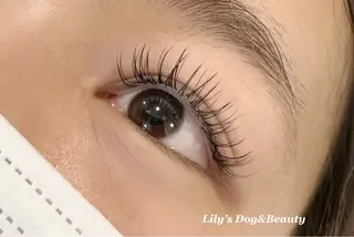 マツエク・マツパ モデル募集 練習生のネイルデザイン