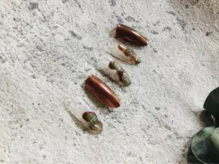 ネイル 横尾 麻里のネイルデザイン