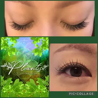 マツエク・マツパ Plants　斧田 ひろみのマツエク・マツパデザイン