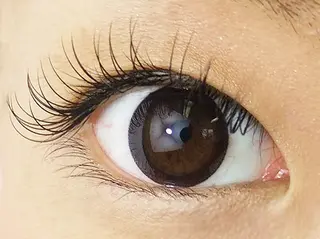 マツエク・マツパ IRIE(アイリー)所属・IRIE (アイリー)のマツエク・マツパデザイン