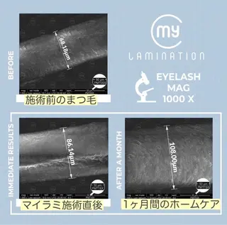 マツエク・マツパ ivy-nue🩶 Natsumiのマツエク・マツパデザイン