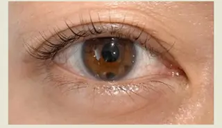 マツエク・マツパ プラスアイ 錦糸町店のマツエク・マツパデザイン