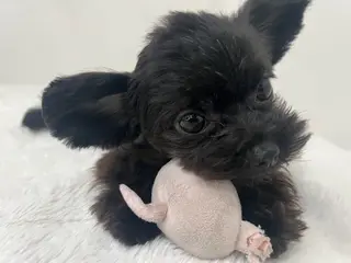 eye salon u-ga所属・eye salon U-ga/中目黒のマツエク・マツパデザイン