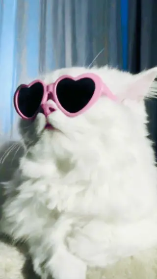 マツエク・マツパ eyelist. mizuki🐈‍⬛のマツエク・マツパデザイン