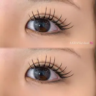 マツエク・マツパ EYELA 小築🐈‍⬛🤍のマツエク・マツパデザイン