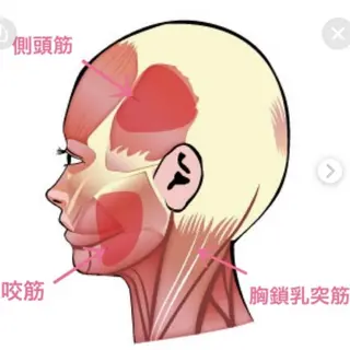 同心整骨院 美容鍼・整体・小顔のエステ・リラクイメージ