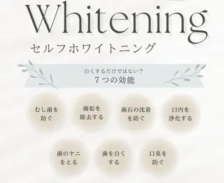 西田 力奈子のヘアスタイル