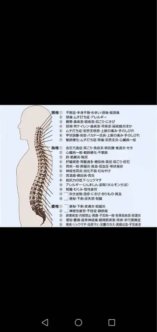 美容スポーツ整体Supreme Ace所属・骨盤矯正　SA ゆかりのエステ・リラクイメージ