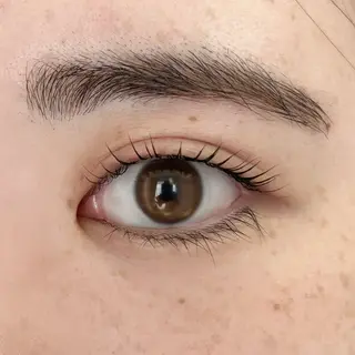 マツエク・マツパ ロレインブロウ 二俣川店所属・ロレインブロウ 二俣川店のマツエク・マツパデザイン