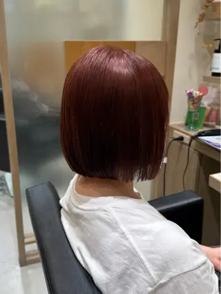 ショート レイヤー/顔周り/透 明感カラー/うる艶のヘアスタイル