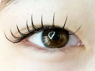 マツエク・マツパ Celeste Venus所属・🧸Celeste Venusのマツエク・マツパデザイン