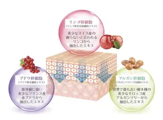 Fleur フルールのエステ・リラクイメージ