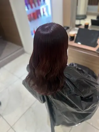 セミロング 🩰似合わせ艶カラー Kirara🐩🎀のヘアスタイル