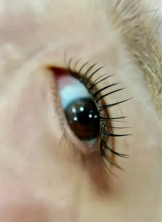 マツエク・マツパ －Ojiー セナのマツエク・マツパデザイン