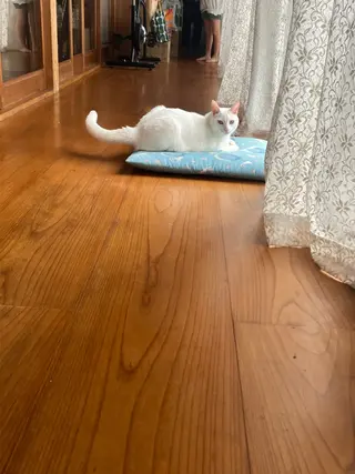 台湾式足揉み処 kiki~キキ~のその他イメージ