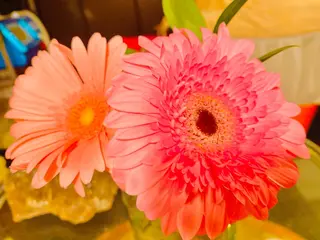 Mandarin Orange所属・毛穴から始める肌メン テマンダリンオレンジのエステ・リラクイメージ