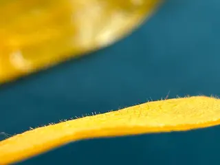 藤本 有加のエステ・リラクイメージ