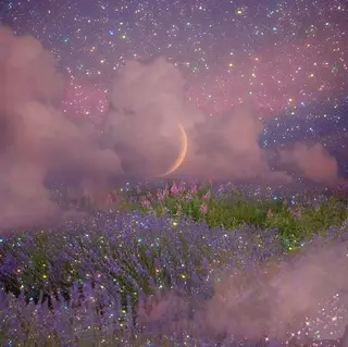 マツエク・マツパ GO TODAY SHAiRE SALON所属・𓂃◌𓈒𓐍 shioriのマツエク・マツパデザイン