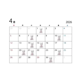 カラー Lita./ sumireのヘアスタイル