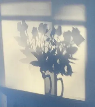 Moon(ムーン)所属・moon 梶本のマツエク・マツパデザイン