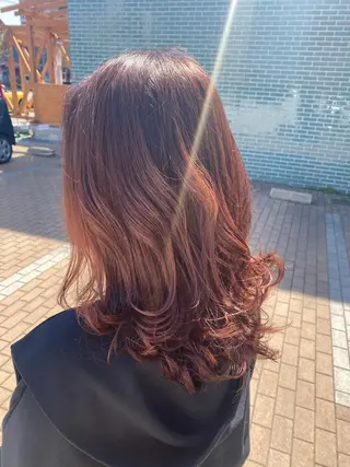 セミロング カラー OXCREATION / ガクトのヘアスタイル