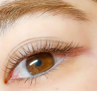 マツエク・マツパ Lucia志木店所属・Lucia志木店 ISHIOKAのその他イメージ