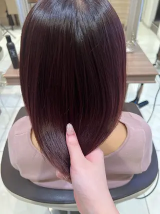 ミディアム 🩰似合わせ艶カラー Kirara🐩🎀のヘアスタイル