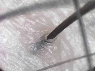 salowin 郡山店所属・中畑 莉菜のヘアスタイル