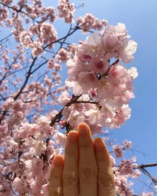 メンズ ネイル ハンドケア&ネイルケア桃の木所属・ケアリスト🍀 マリユキのネイルデザイン