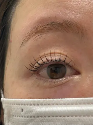 マツエク・マツパ lua eye beauty所属・河野 真彩等のマツエク・マツパデザイン