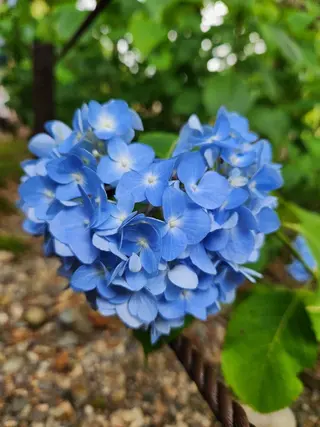 小林 弓子のその他イメージ