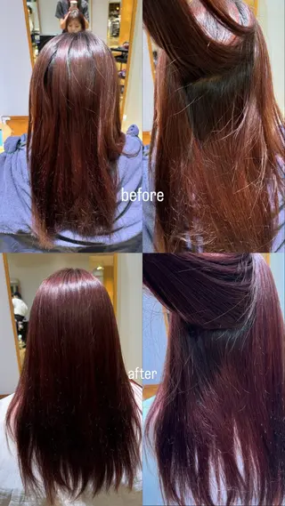 ロング カラー 🦖SERIKA🦖 ボブカットのヘアスタイル