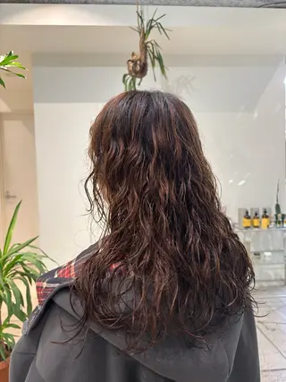 ロング パーマ ANY/須田 麻人/ハードパーマのヘアスタイル