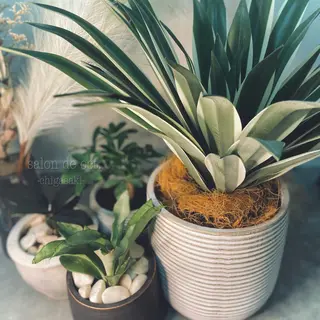 ネイル salon de oct.のネイルデザイン