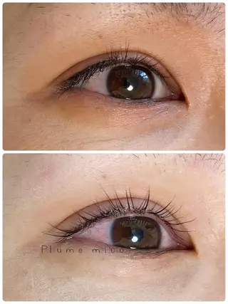 マツエク・マツパ Plume micoのマツエク・マツパデザイン