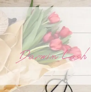 まつげと眉毛のお店Sakura Lash【サクララッシュ】所属・【ダメージケア特化】 🌸 サクララッシュの眉毛・アイブロウイメージ