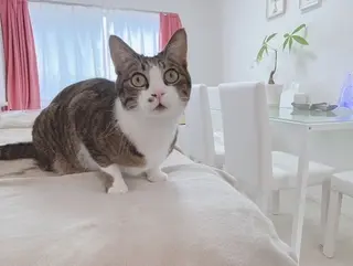 回復ケアセラピスト yukaのエステ・リラクイメージ