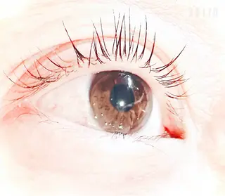 マツエク・マツパ クルス マリアのマツエク・マツパデザイン