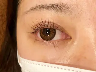 マツエク・マツパ 【Refine】 磯部のマツエク・マツパデザイン