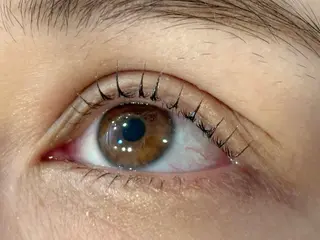 マツエク・マツパ OAK(オーク) 小倉店のマツエク・マツパデザイン