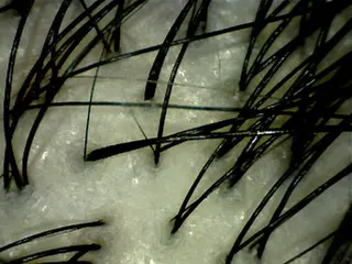 cfr professional artist salon所属・佐野 智史のヘアスタイル