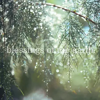 小顔/リンパ/マッサージL.sana所属・小顔/フェイシャル L.sanaのエステ・リラクイメージ