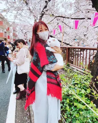 カラー パーマ ネイル マツエク・マツパ アイブロウ 神山 ビューティー・アイのマツエク・マツパデザイン