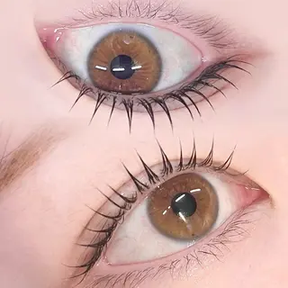 マツエク・マツパ 美眉/まつ毛 shuka🩶🎧の眉毛・アイブロウイメージ